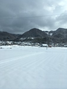 IMG_8145